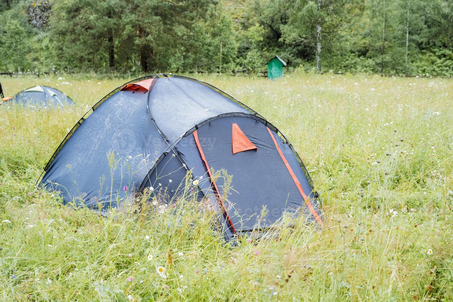 Set in a grassy meadow, a tent provides a peaceful setting to unwind and connect with the natural surroundings. This tranquil scene encourages outdoor leisure and serenity photo