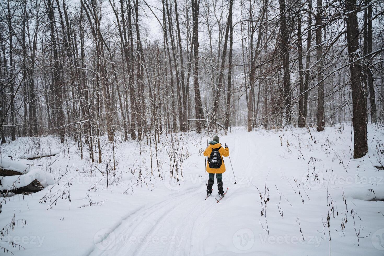 A person enjoys cross country skiing, skillfully moving through serene woods and stunning winter views, fully immersed in this exhilarating outdoor activity that connects them with nature photo