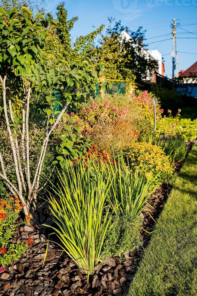A vibrant and flourishing garden, teeming with a rich diversity of unique plants and a myriad of colorful flowers, crafts a stunning landscape that beckons exploration and inspires joy photo