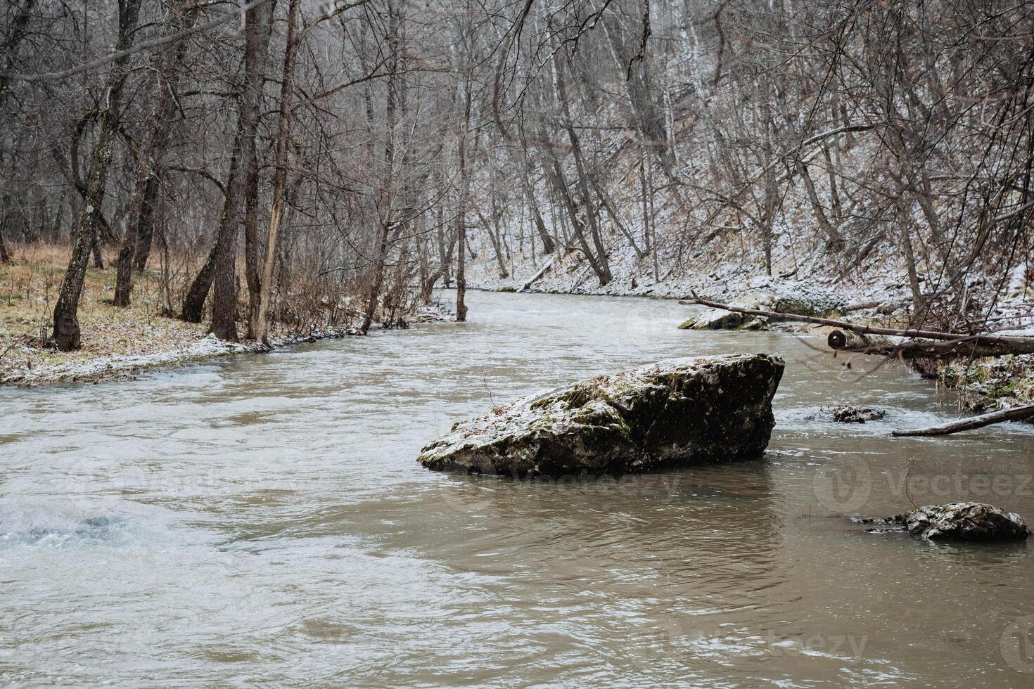A large rock is in the middle of a river surrounded by trees photo