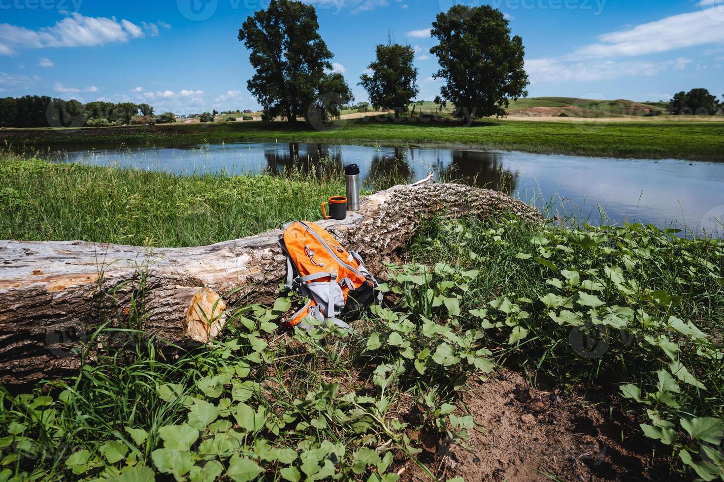 Orange backpack lying on the grass near a log, beautiful landscape by the river, walking in the forest, no people. photo