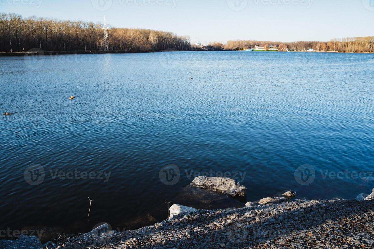In the scene, there is a large, expansive body of water that can be seen, with prominent rocks situated in the foreground and lush, green trees standing tall in the background photo