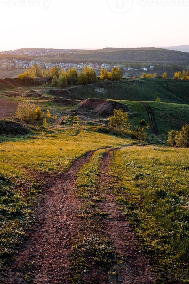 A natural landscape with a dirt road cutting through a grassy field, under a vast sky. The land lot is filled with plants, creating a picturesque grassland on the plain horizon photo
