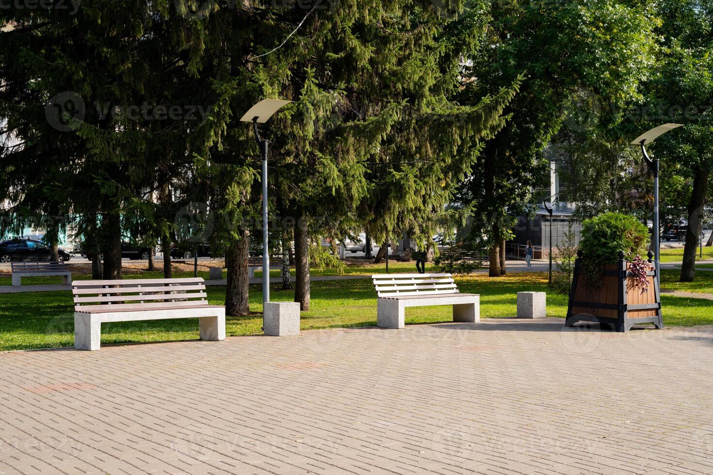 A beautiful, serene row of benches can be found in a lovely park, surrounded by tall, lush trees in the scenic background, providing a peaceful spot for visitors to sit and relax outdoors photo