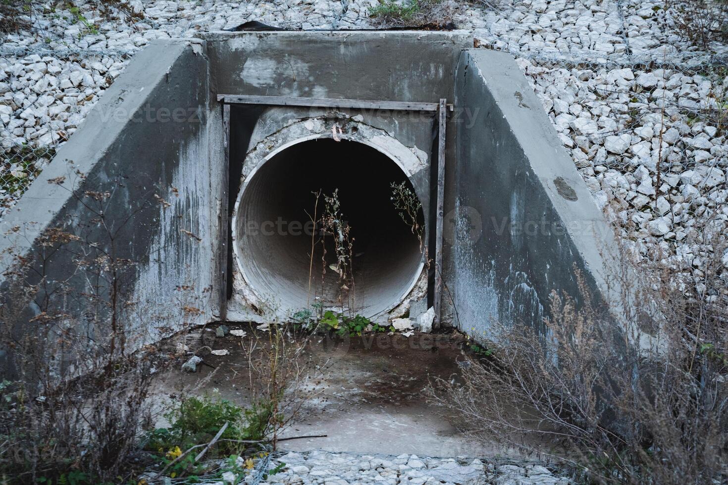 An abandoned drainage pipe that is heavily surrounded by thick, overgrown vegetation and rough gravel creates an intriguing visual scene photo