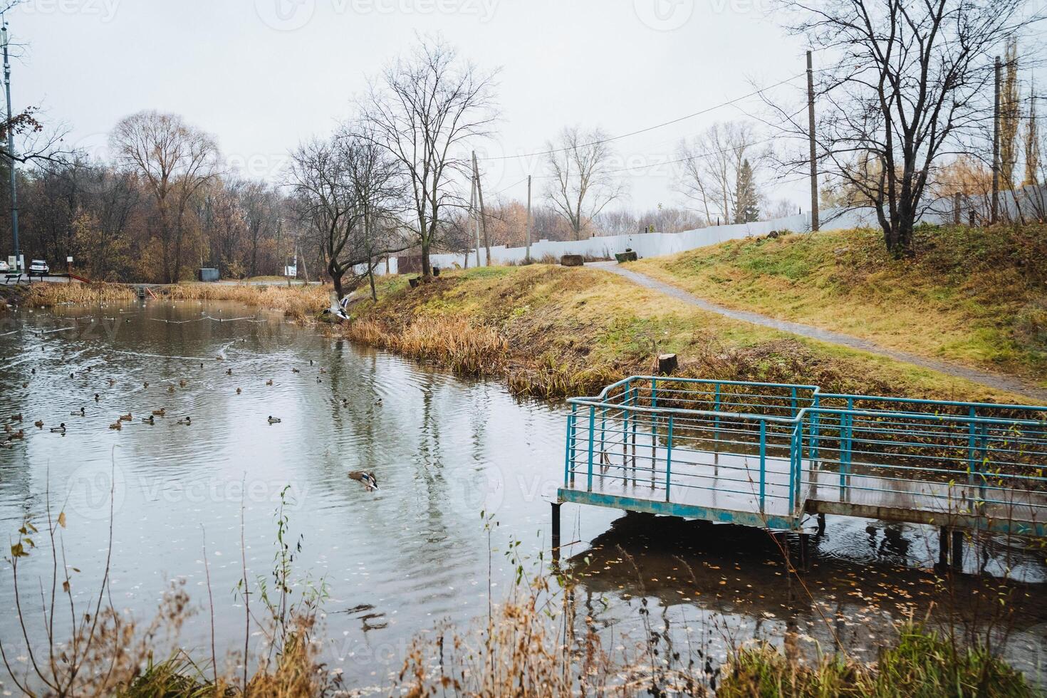 There is a small bridge over a river in the middle of a park photo
