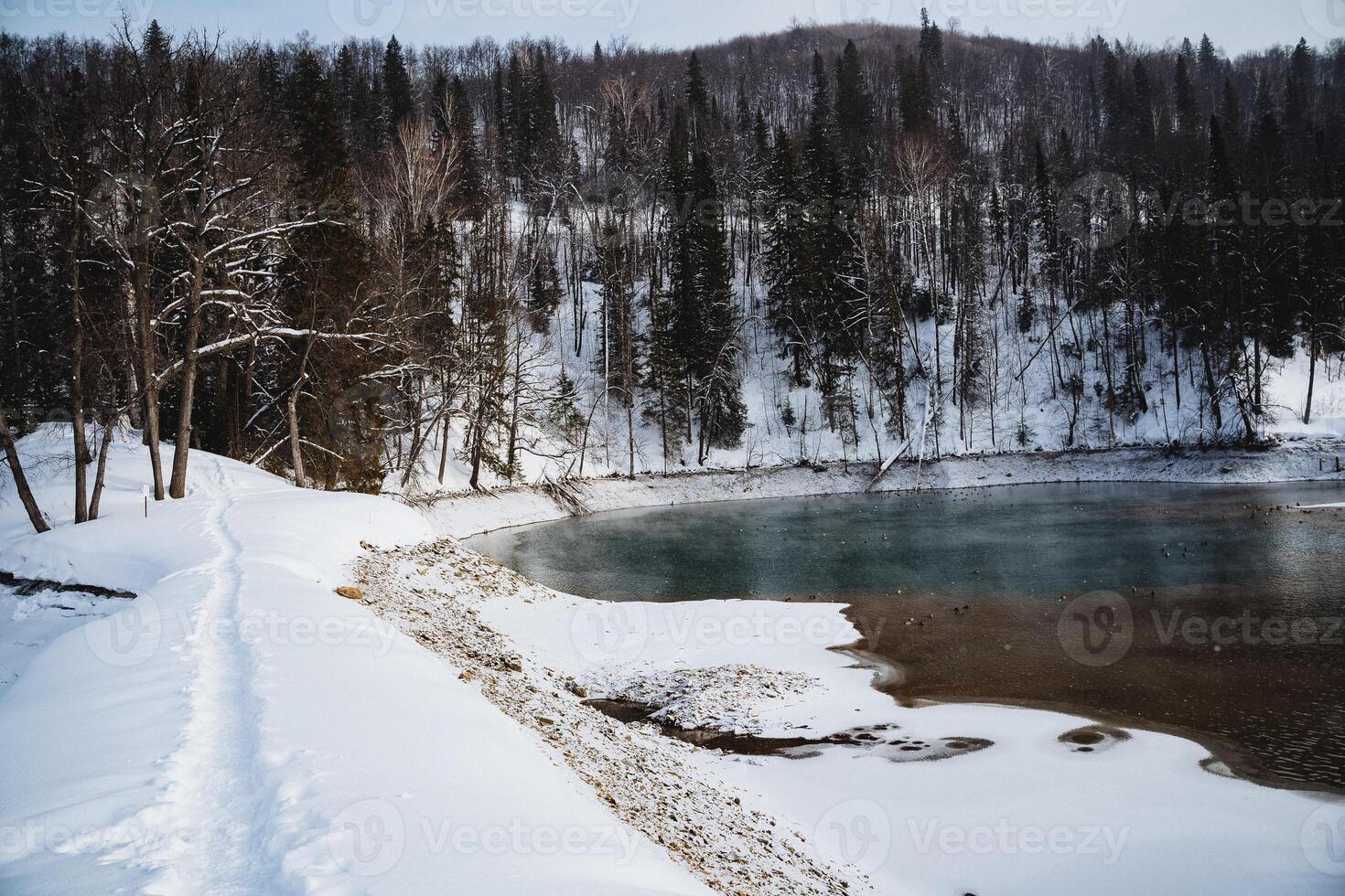 A snowy path leading to a frozen lake surrounded by snowcovered trees photo