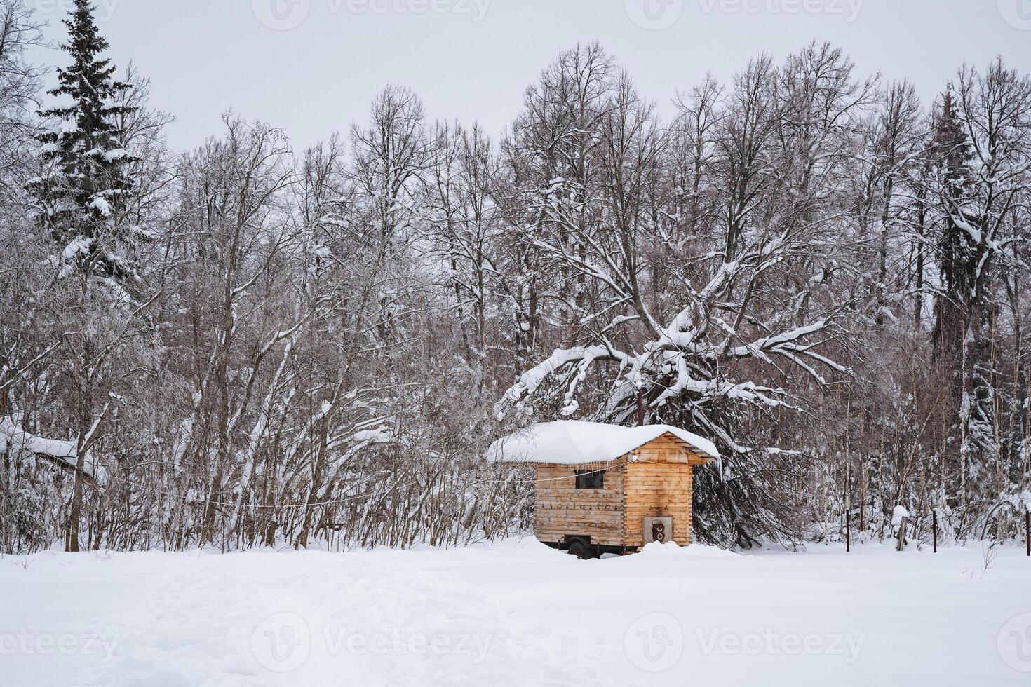 A quaint little wooden house is peacefully sitting in the middle of a serene and snowy forest surrounded by tall trees and gentle branches, creating a cozy winter landscape photo