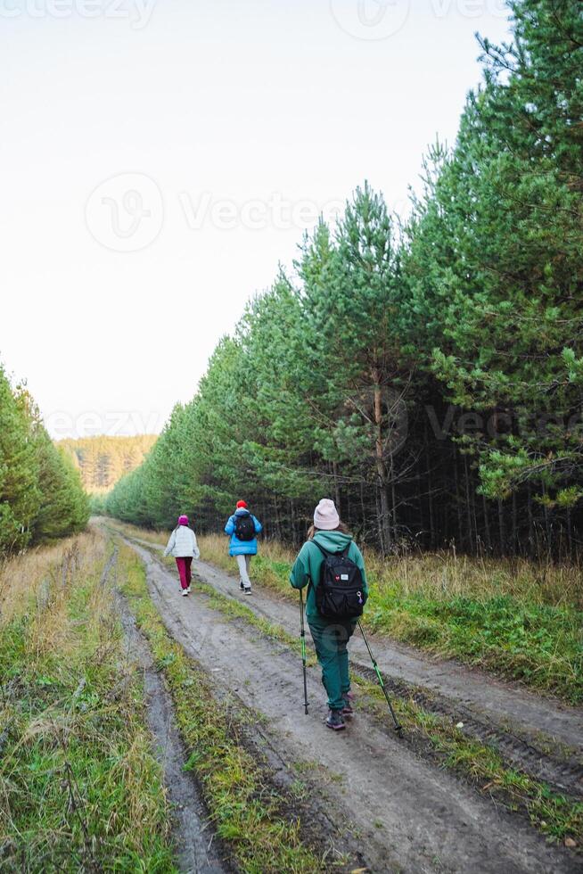 A diverse and lively group leisurely strolls down a rustic dirt road, set in a tranquil forest, surrounded by soaring trees and lush, vibrant greenery that enhances the natural beauty photo