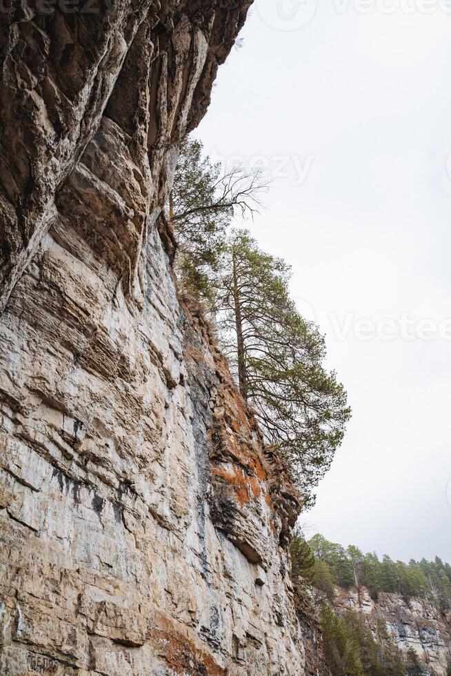 This closeup photo shows a majestic rocky cliff with vibrant green trees, highlighting its rugged texture and showcasing the breathtaking beauty of the diverse surrounding landscape