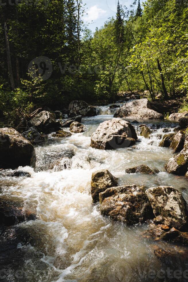 A serene river gracefully flows through a lush forest, accompanied by rocks, towering trees, creating a peaceful and stunning natural backdrop in a mountainous landscape under the sky photo