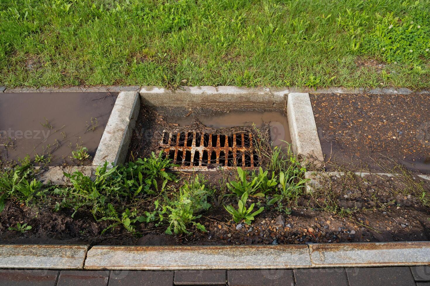 Drainage System A Stormwater Drain Featuring a Grate and Surrounded by Surrounding Vegetation in the Park Area photo