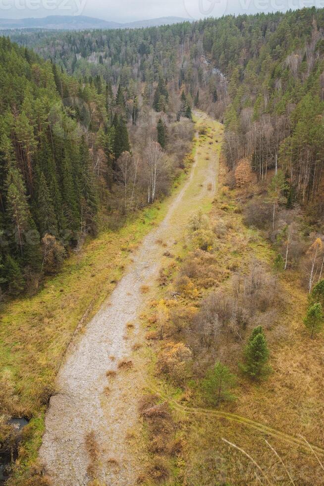 An expansive aerial view beautifully captures a winding dirt road as it weaves its way through a lush green forest, surrounded by tall, vibrant trees, all under the wide open sky above photo