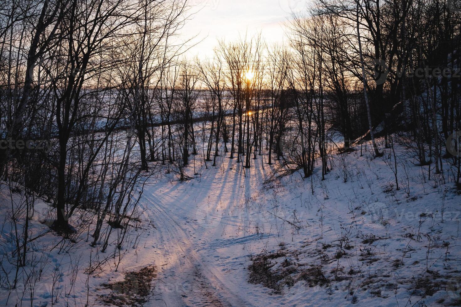 The sun is setting behind the trees in the snow photo