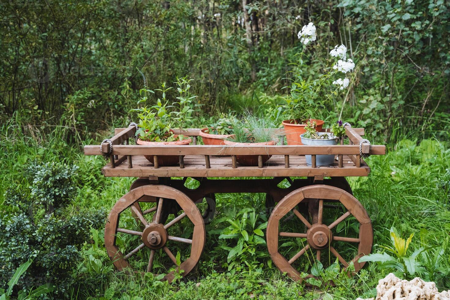 In a tranquil outdoor environment, there exists a charming wooden cart that is abundant with a variety of potted plants, perfectly placed amongst vibrant, lush green grass photo