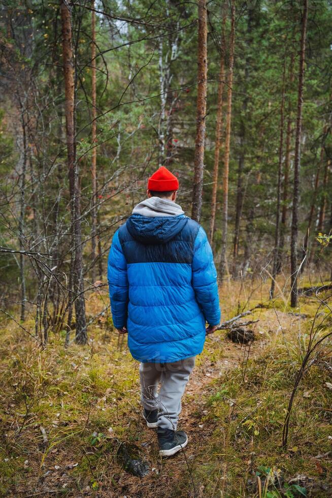 A man wearing a blue jacket along with a bright red hat is seen walking leisurely through a serene and picturesque forest, surrounded by the beauty of nature and greenery photo