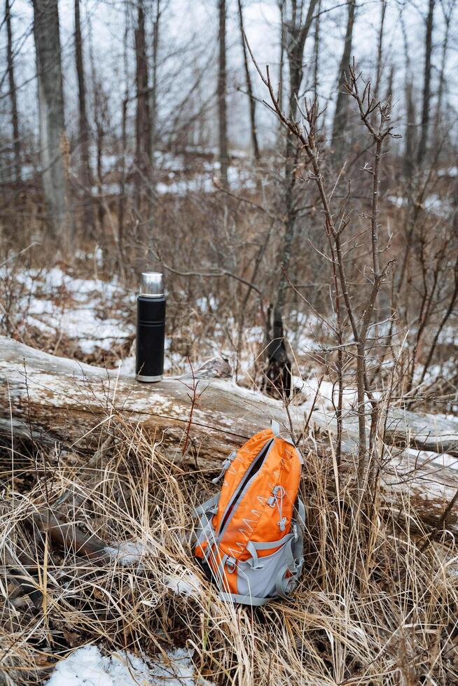 A wellworn backpack rests on the lush, mossy forest floor, nestled among vibrant nature, forming a peaceful and picturesque scene that beautifully captures the essence of the woodland area photo