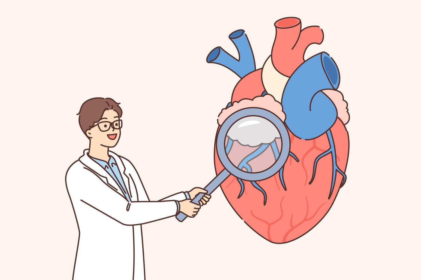 Doctor cardiac surgeon examines heart using magnifying glass to look for pathologies and diseases vector