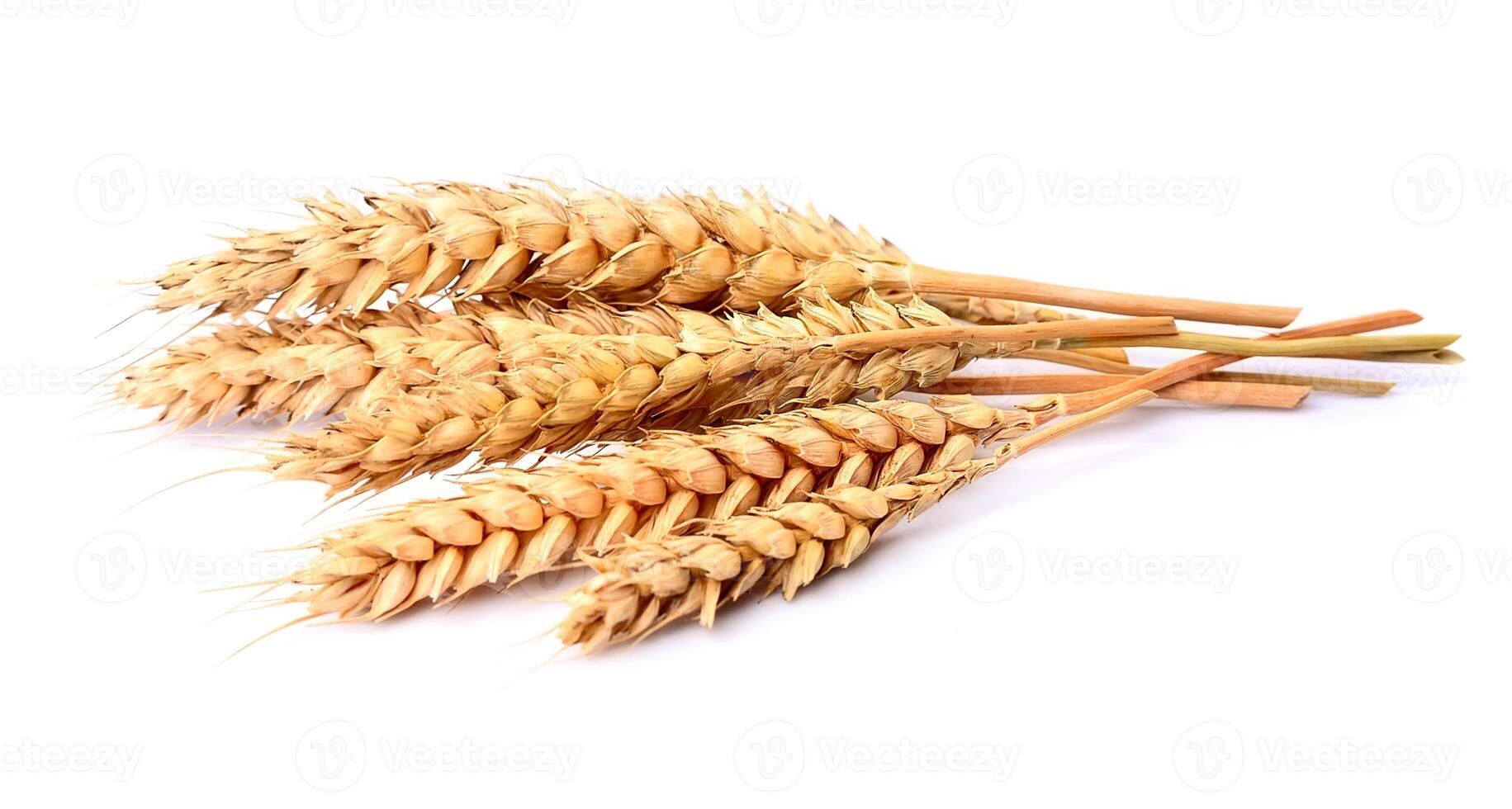 Heap of wheat photo