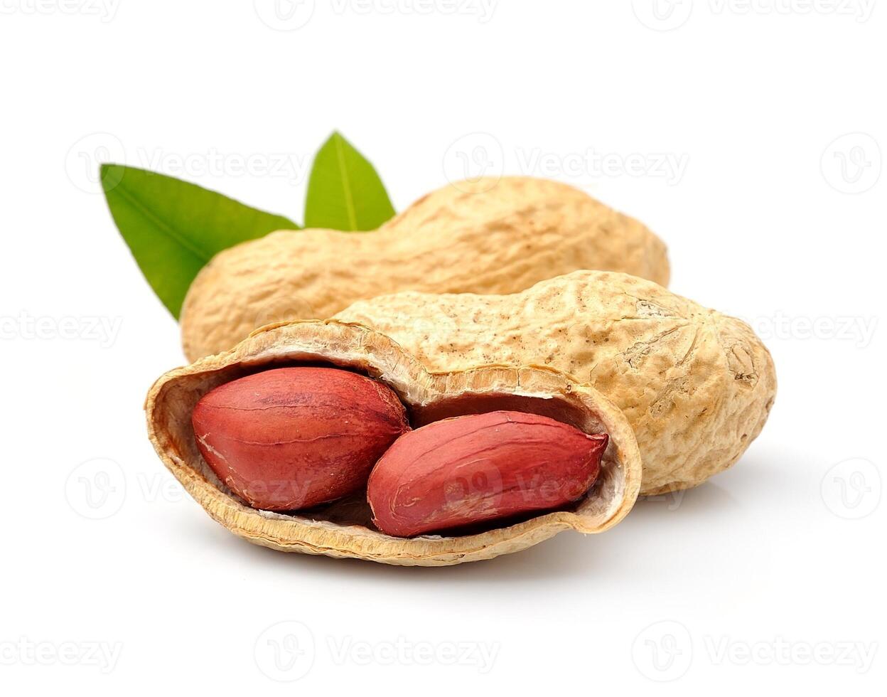 Peanuts with leaves photo