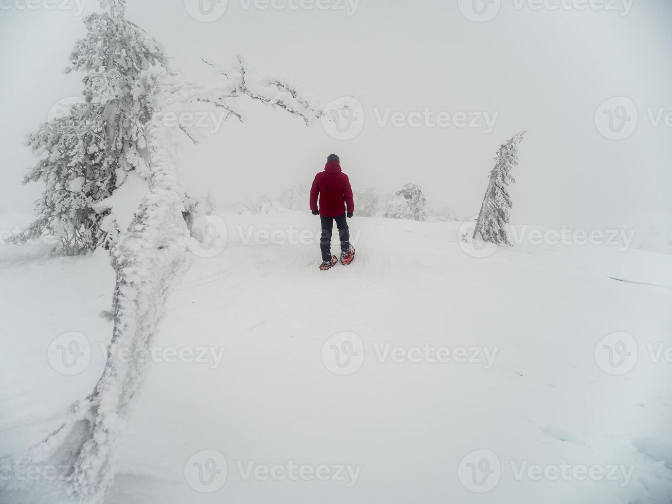 Winter trekking. Person walking on foggy snow capped mountains photo