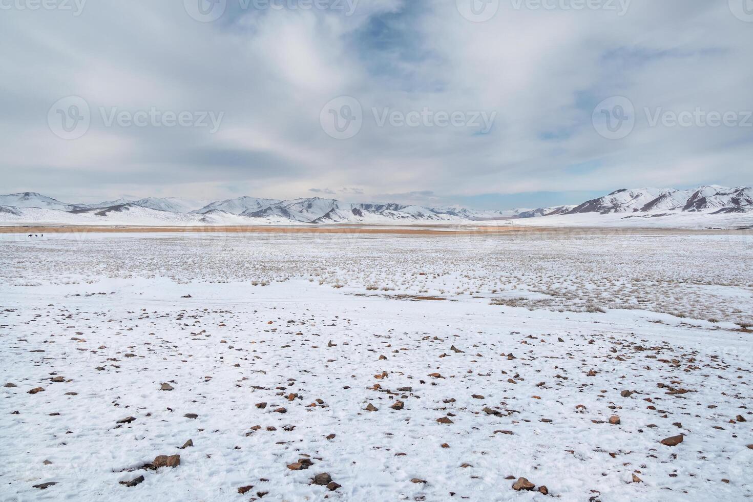 Snow-covered steppe with mountains on the horizon. Mountain pasture covered with snow. Bushes of autumn grass stick out from under the snow. photo