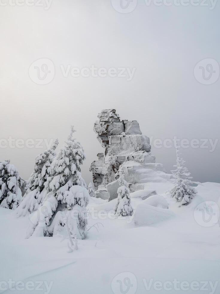 Rock cliff in winter forest is completely covered with hoarfrost. photo