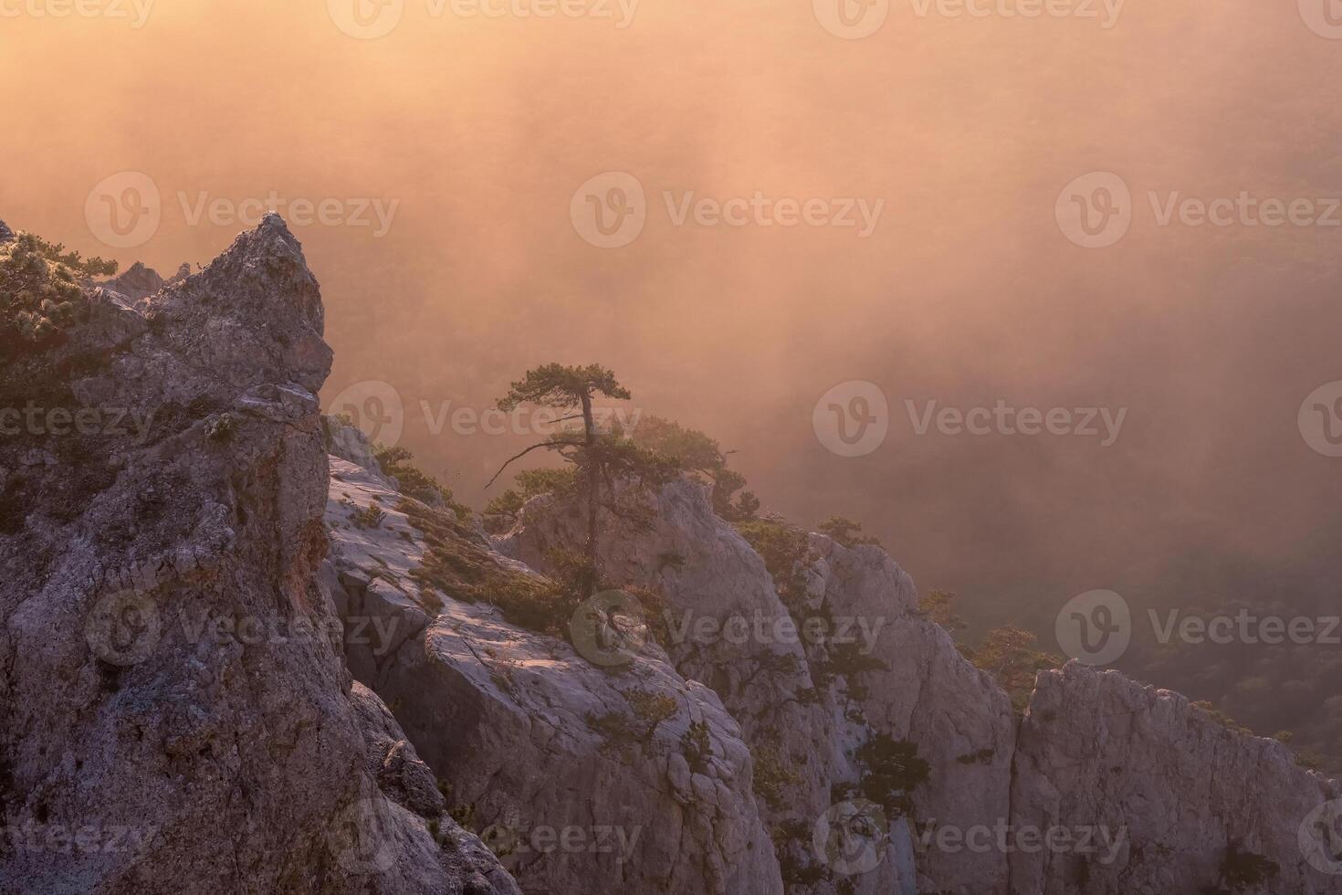 Golden hour photography on a foggy small hill. photo