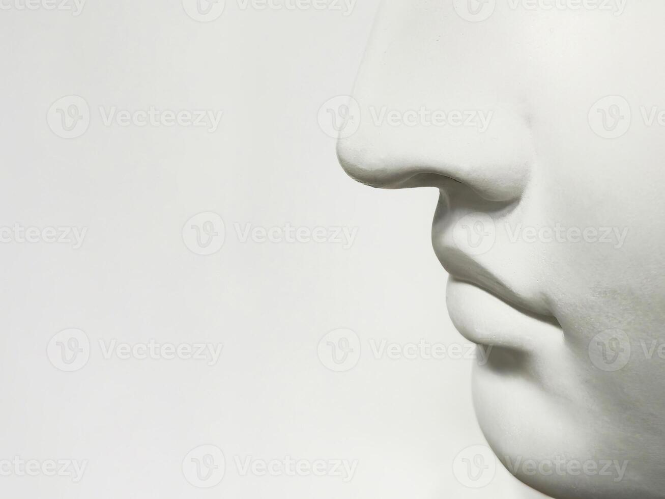 Nose and mouth on a light background, side view, copy space photo