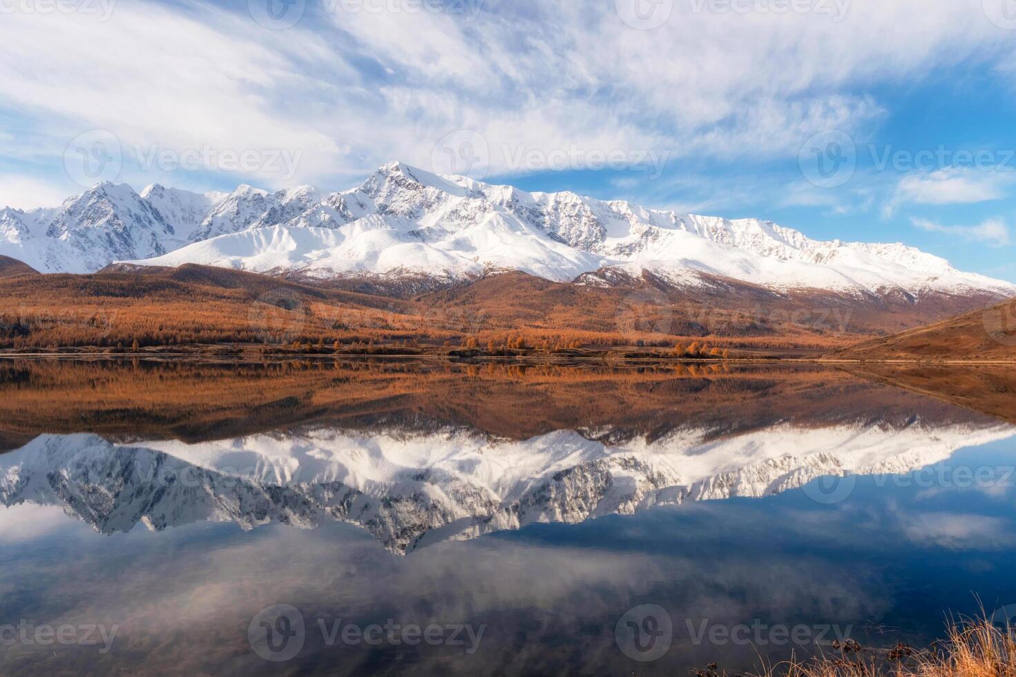 Beautiful autumn mountain lake and mountains. Reflection of snowy peaks and red coniferous taiga on the surface of a mountain lake. Russia. Altai Republic. Panoramic view. photo