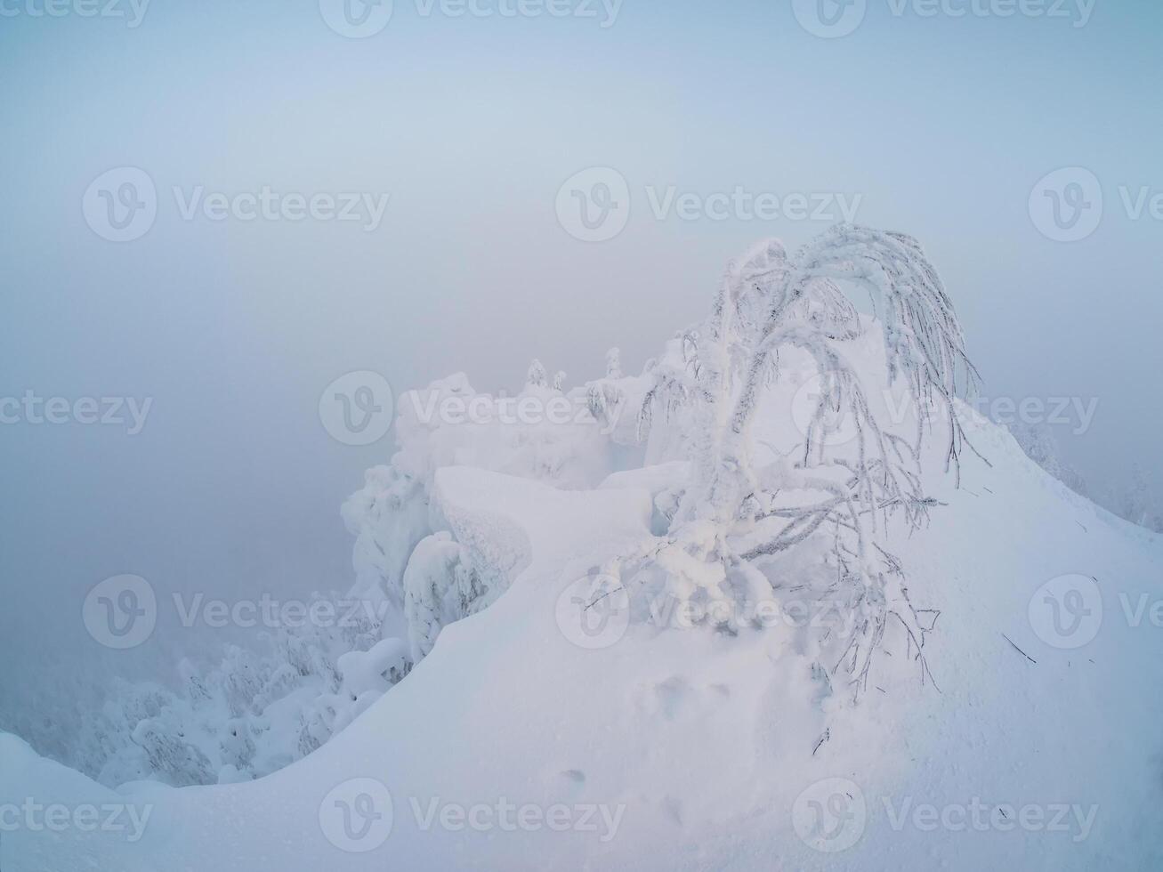 Ethereal winter minimalistic landscape in the morning. photo