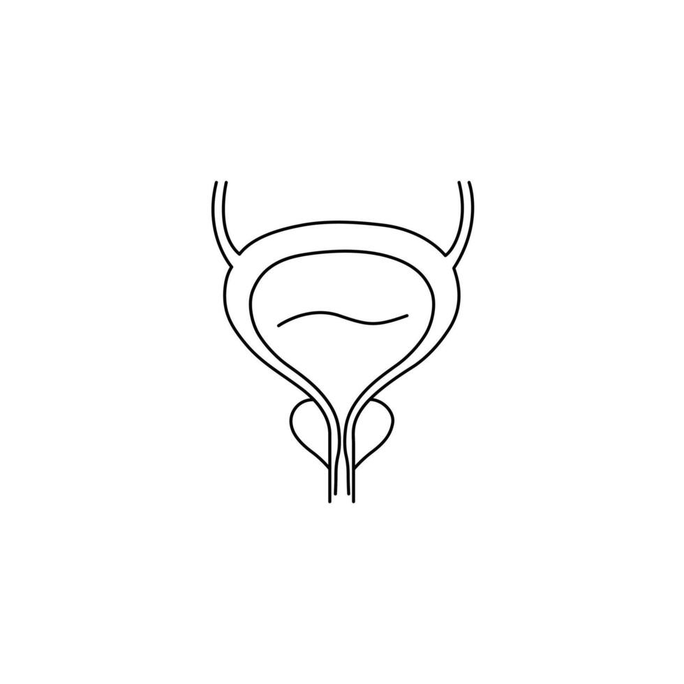 Prostate and urinary bladder, Prostate editable stroke outline icon isolated on white background vector