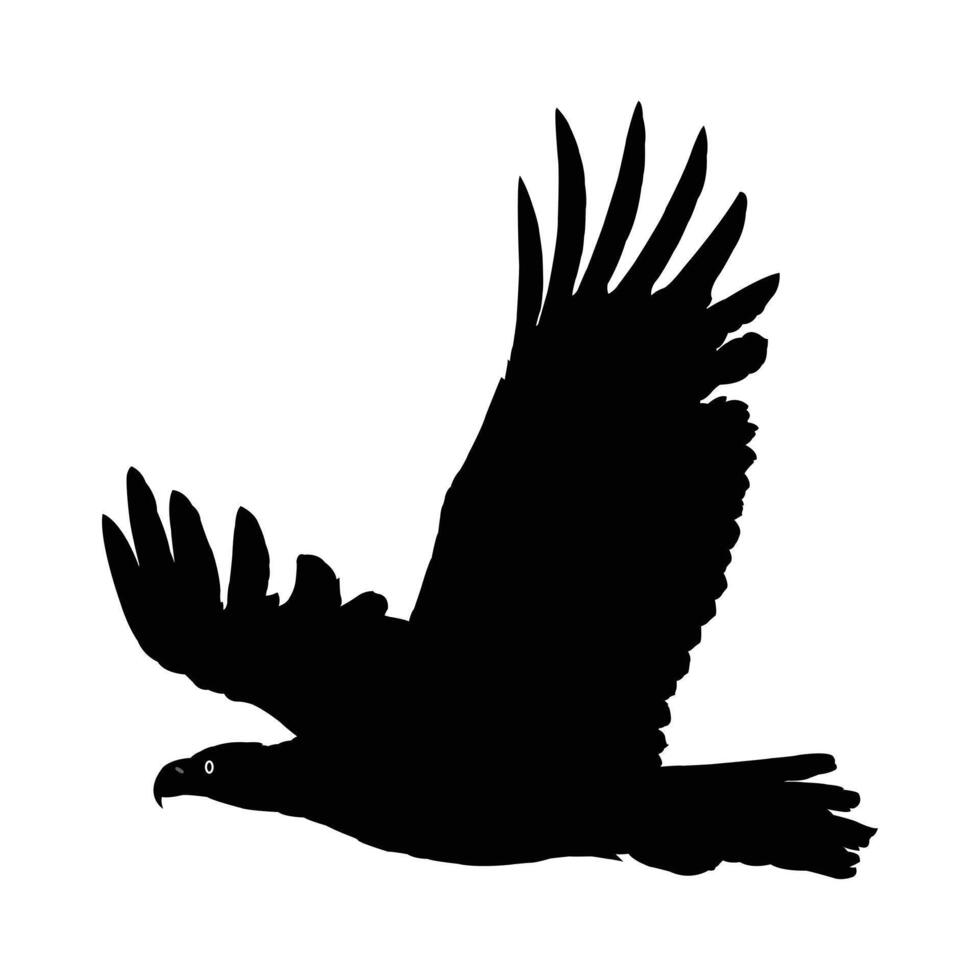 Silhouette of a majestic eagle in flight against a white background. Symbol of Eagle , Eagle Icon, Eagle Logo, Eagle Drawing. vector