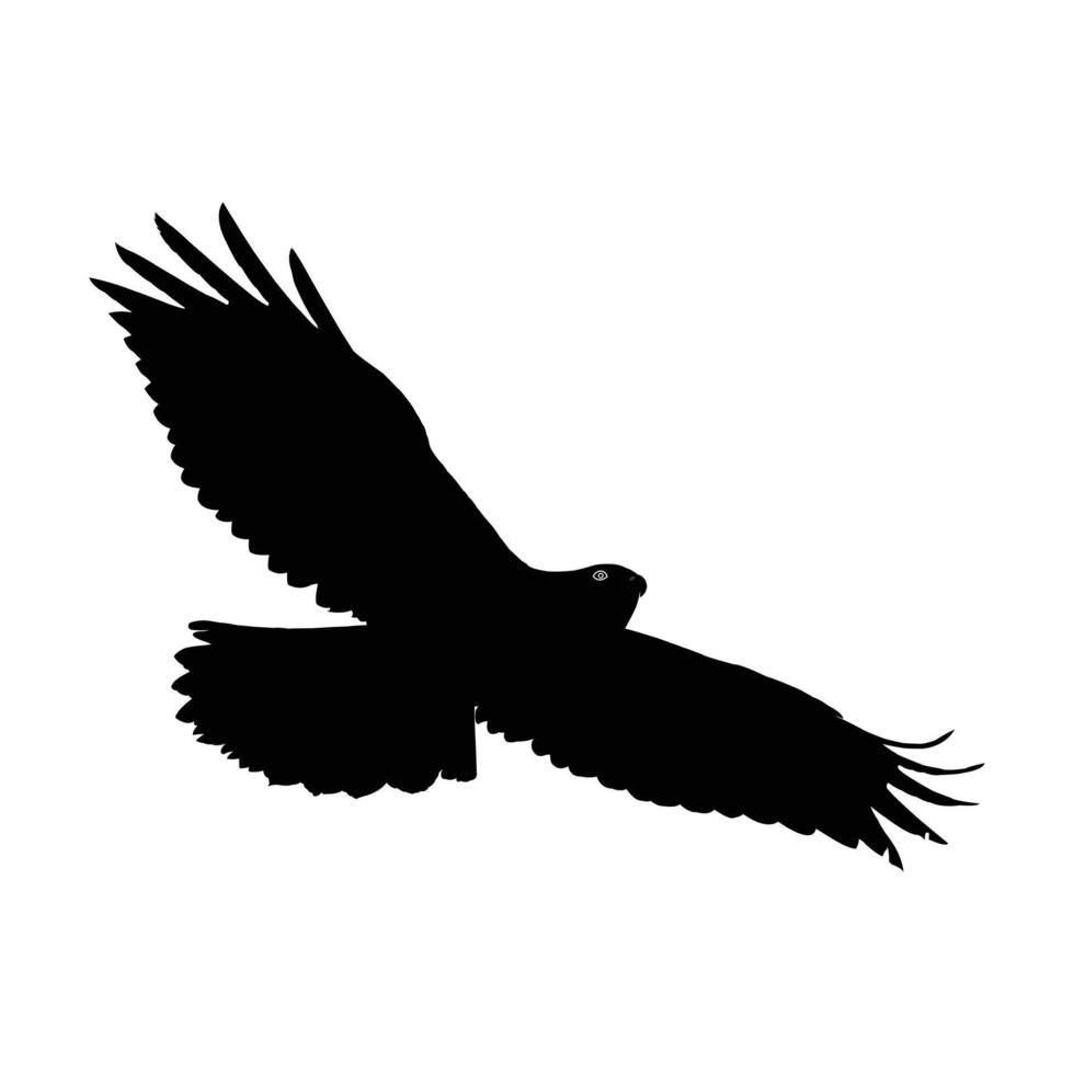 Powerful Silhouette of a Bird of Prey in sky Flight. Symbol of Eagle , Eagle Icon, Eagle Logo, Eagle Drawing. vector