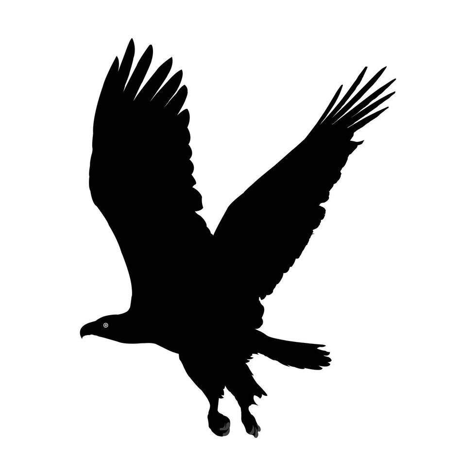 Powerful Silhouette of a Soaring Bird of Prey. Symbol of Eagle , Eagle Icon, Eagle Logo, Eagle Drawing. vector
