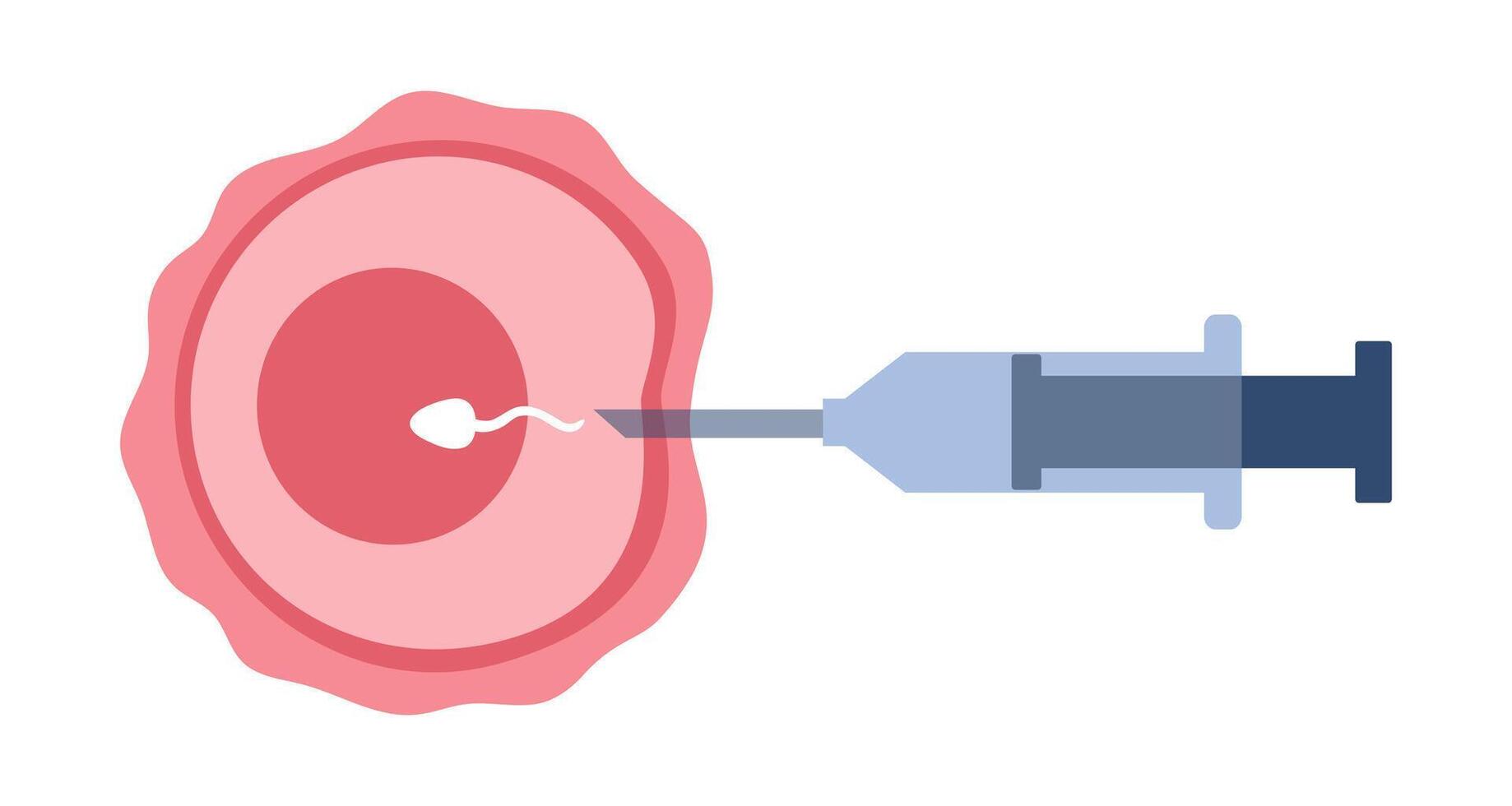 In vitro fertilization. IVF. Egg cell and syringe with sperm illustration in cartoon flat style. vector