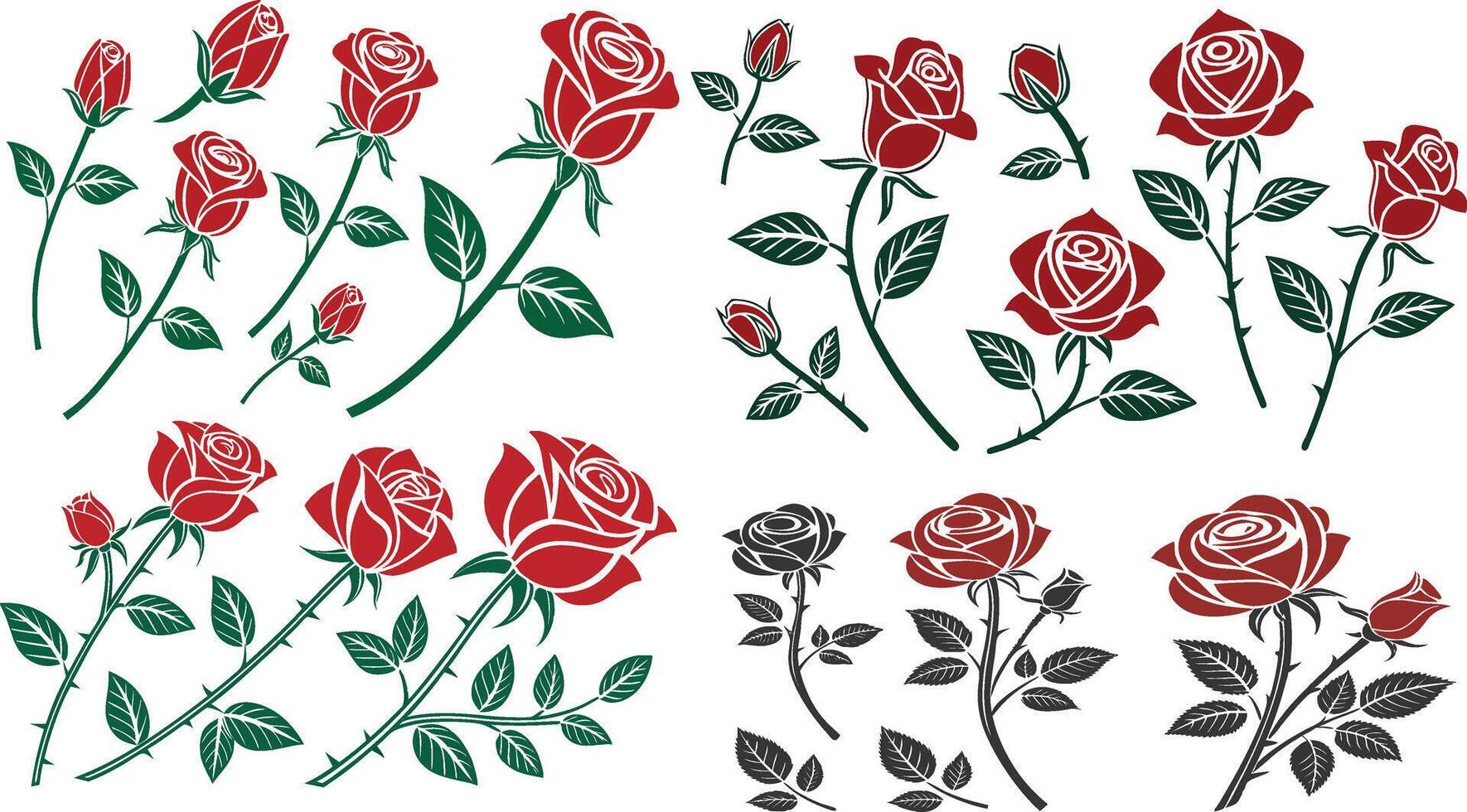 rose flowers set design vector