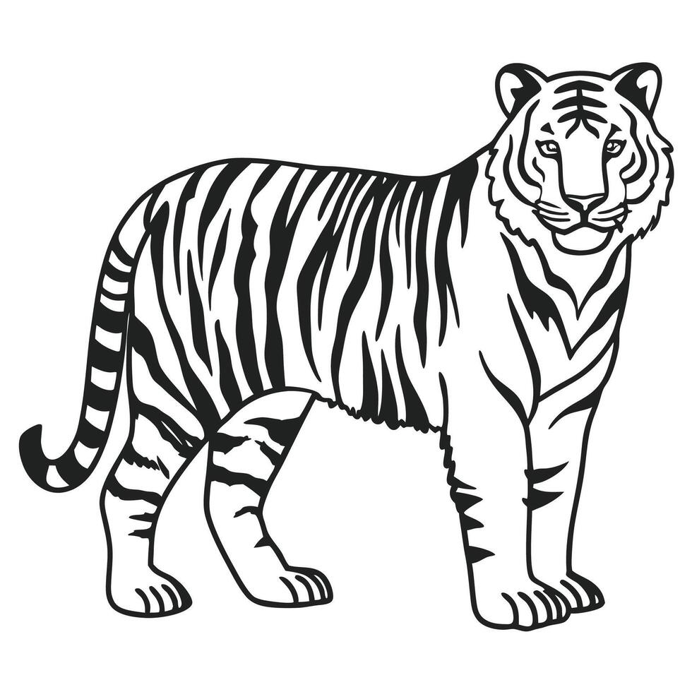a tiger is standing in a line on a white background vector