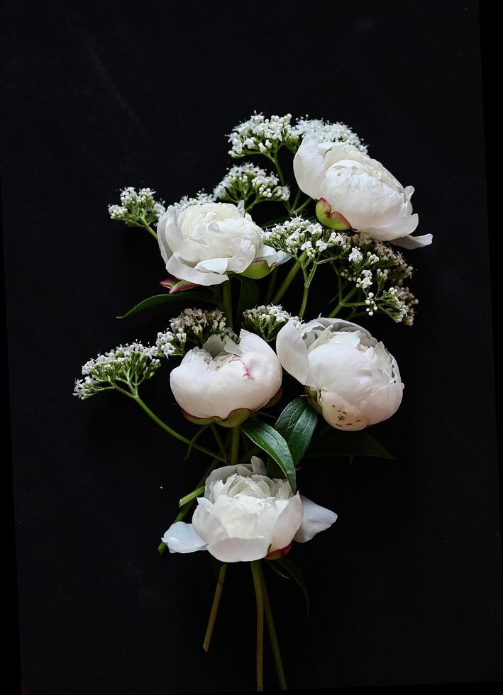 The image showcases an elegant floral arrangement of white peonies and smaller white filler flowers against a stark black background. photo