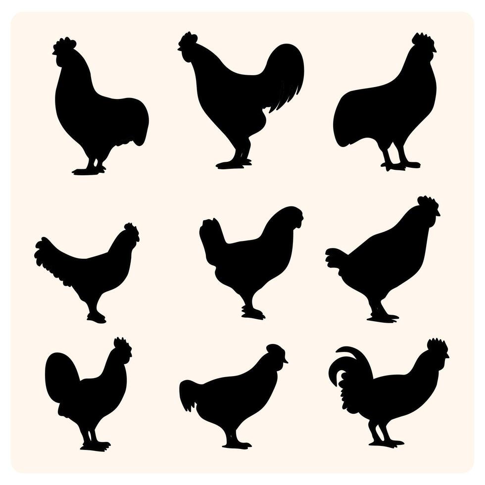 Set of hen silhouette, chicken silhouettes vector