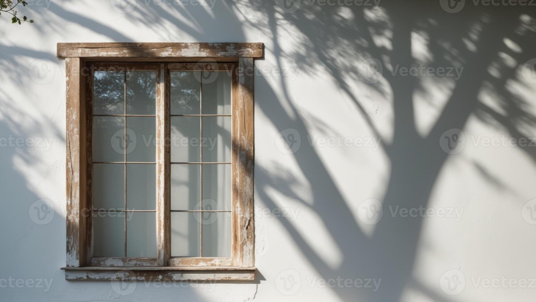 Rustic Window and Tree Shadows on a White WallRustic Window and Tree Shadows on a White Wall. photo