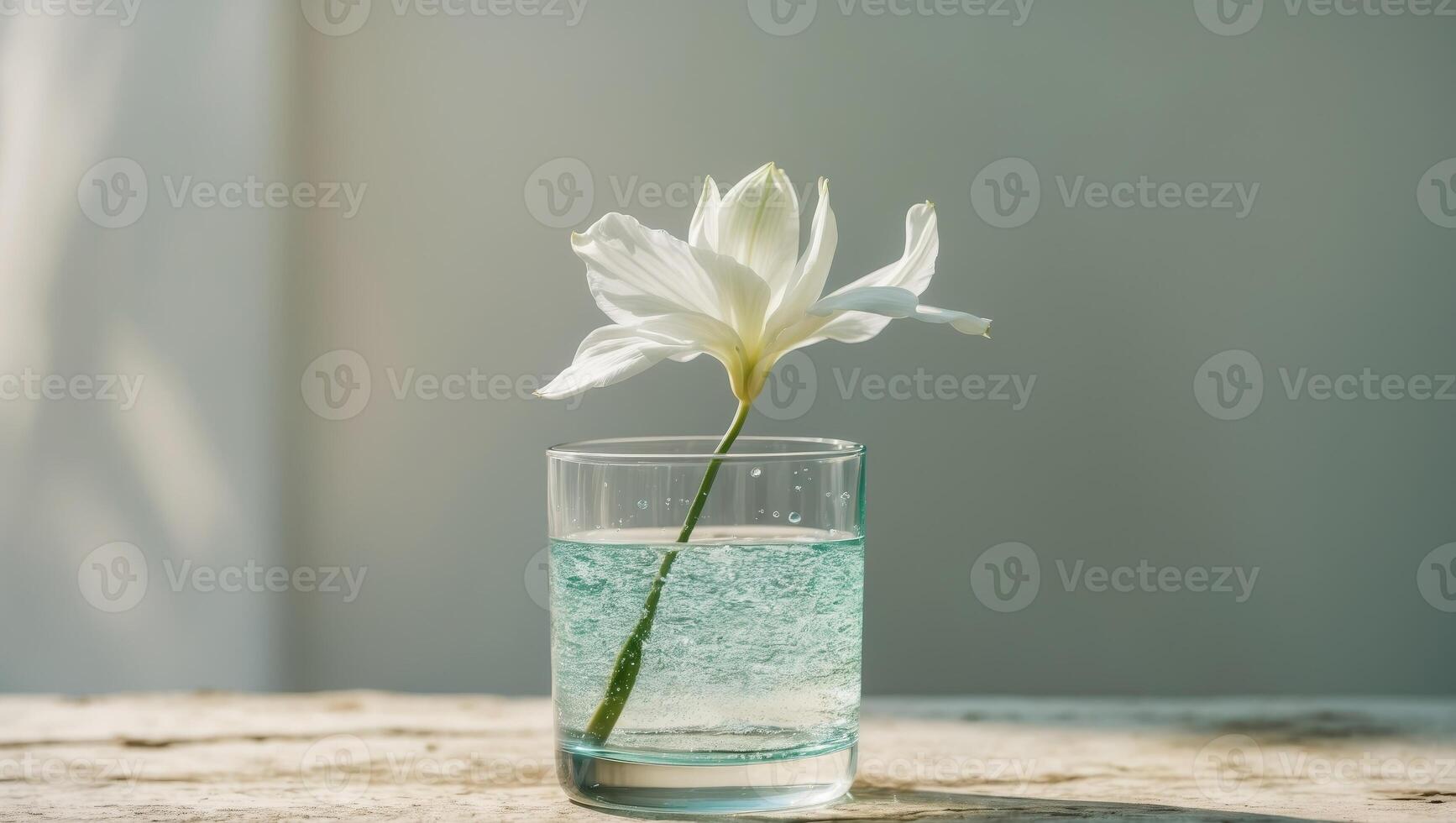 Sparkling Water with Flower Spring Relaxing Summer Day. photo