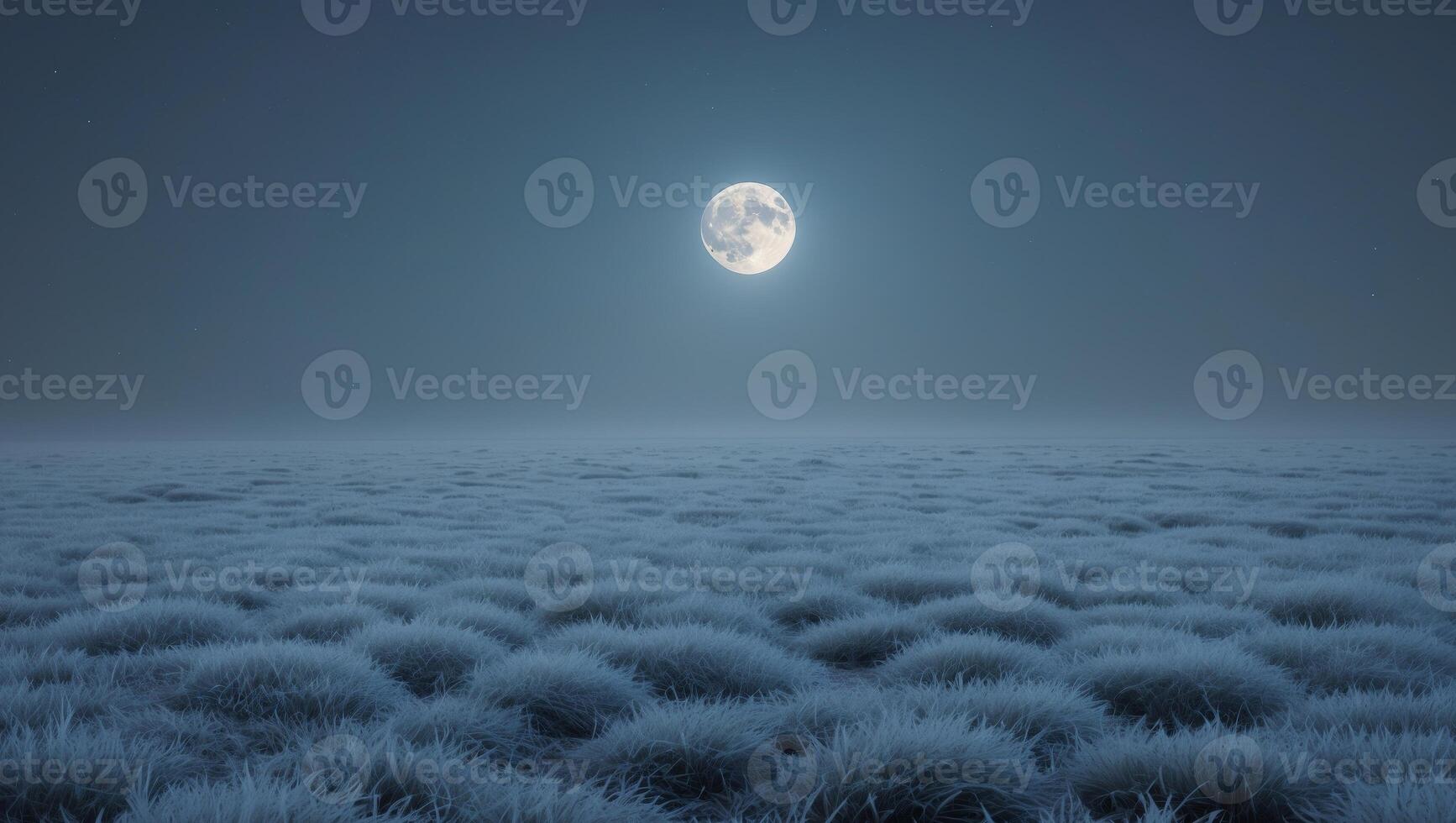 Frosty grass under bright full moon at night with copy space photo