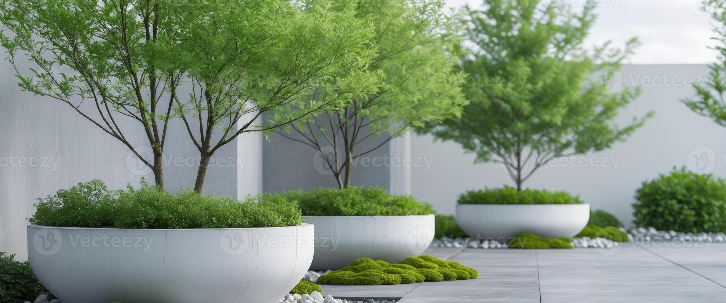 Lush trees in stylish white concrete pots enhancing modern garden aesthetics and outdoor decor photo