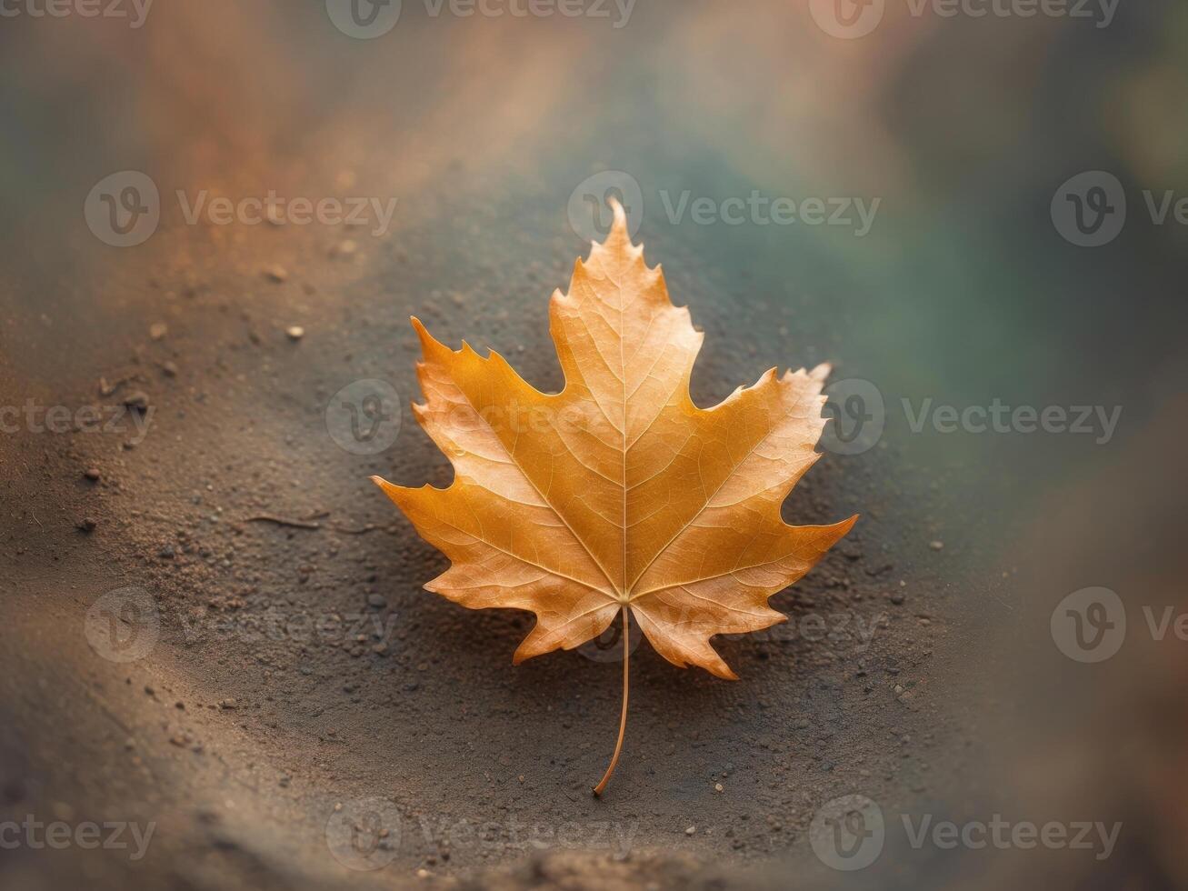 An autumn leaf textured background with ample spaceAn autumn leaf textured background with ample space. photo