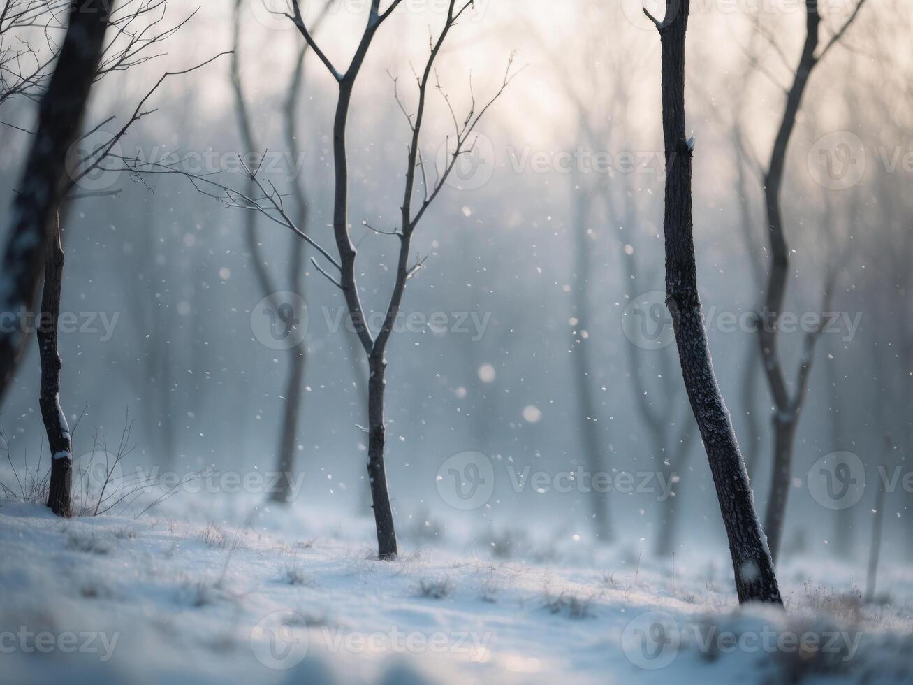 Peaceful Winter Landscape with Bare Trees and Gentle SnowfallPeaceful Winter Landscape with Bare Trees and Gentle Snowfall. photo