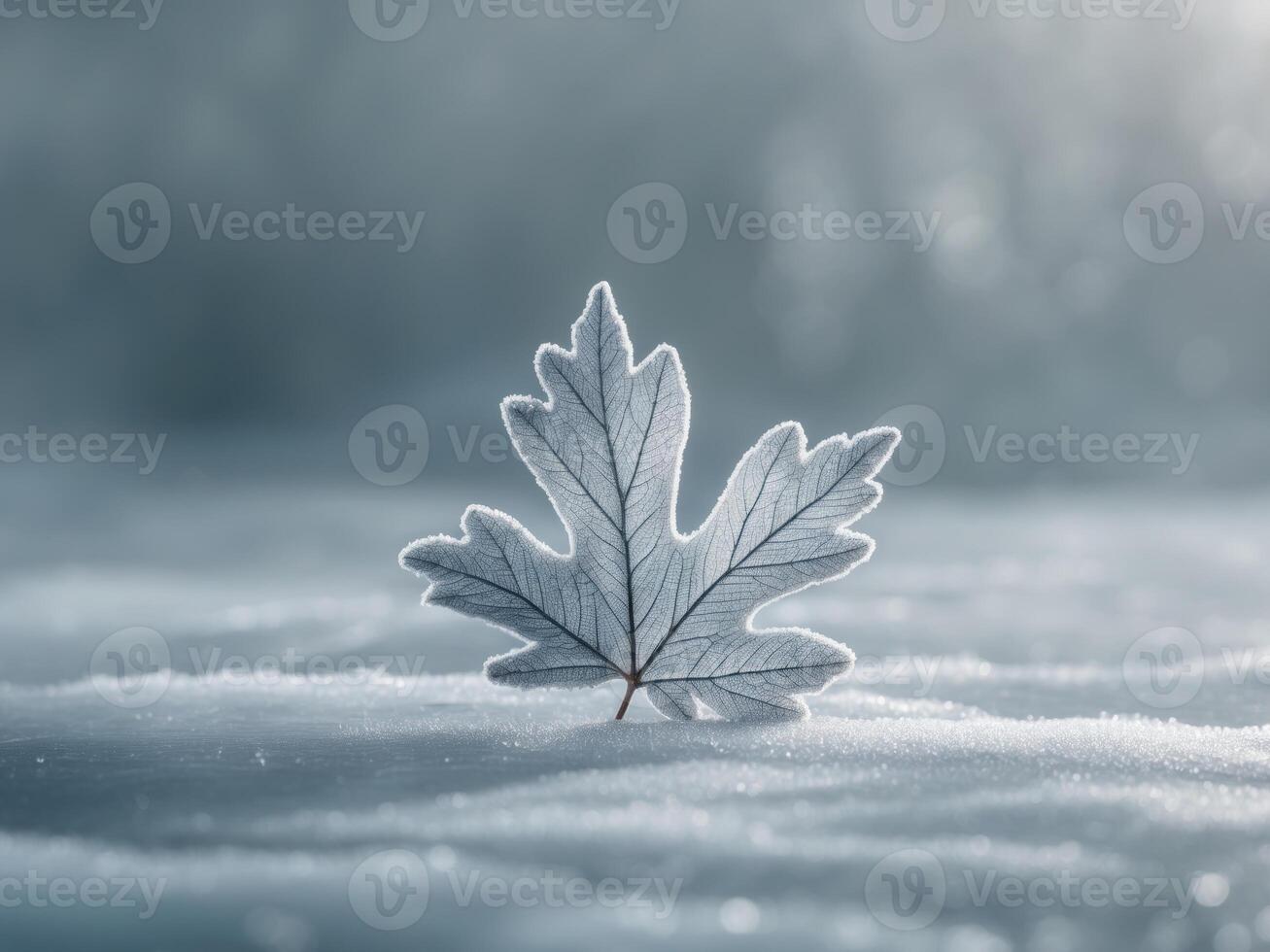 Frosted Leaf on Ice Surface in Winter Scene photo