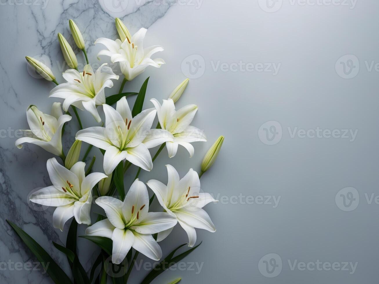 Elegant White Lilies on Gray Marble Background for Floral and Nature ThemesElegant White Lilies on Gray Marble Background for Floral and Nature Themes. photo