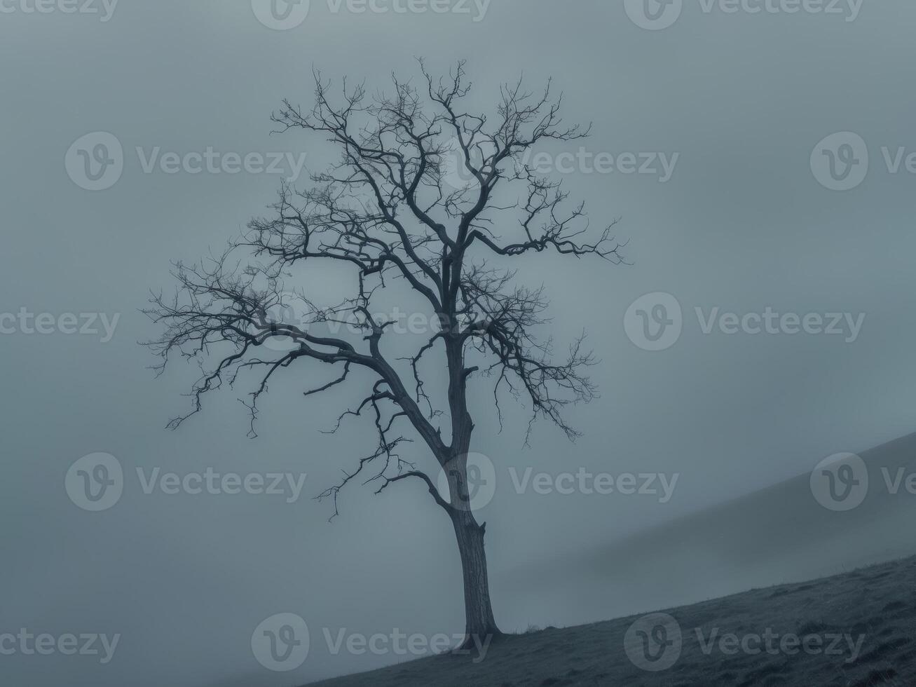 Skeletal Tree Reaching Skyward on Foggy Hill Moody Nature LandscapeSkeletal Tree Reaching Skyward on Foggy Hill Moody Nature Landscape. photo