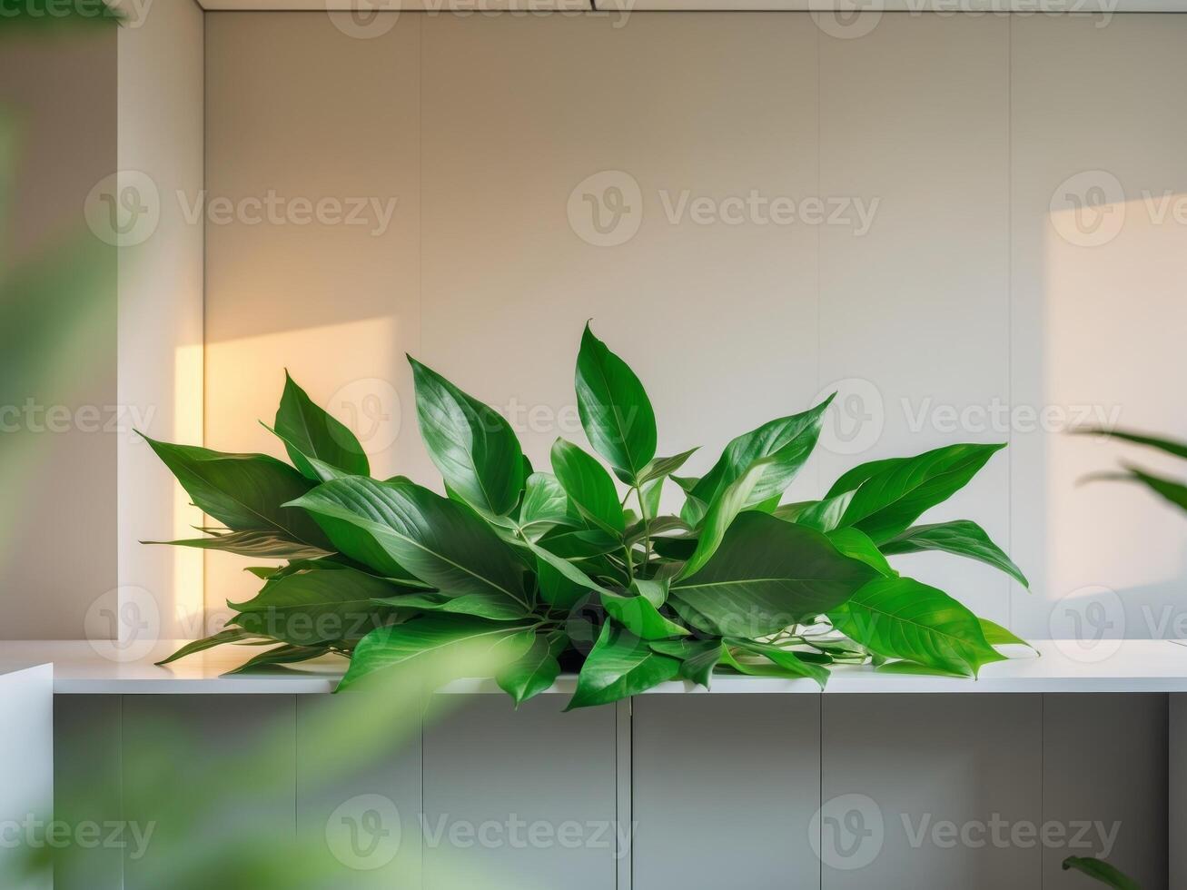 Lush Green Leaves in Modern Office Space with Soft Lighting and Clean DesignLush Green Leaves in Modern Office Space with Soft Lighting and Clean Design. photo